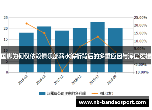 国脚为何仅依赖俱乐部薪水解析背后的多重原因与深层逻辑