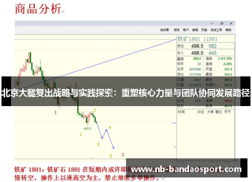 北京大腿复出战略与实践探索：重塑核心力量与团队协同发展路径