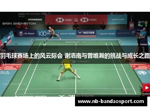 羽毛球赛场上的风云际会 谢浩南与曾维瀚的挑战与成长之路