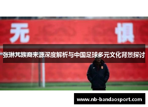 张琳芃族裔来源深度解析与中国足球多元文化背景探讨