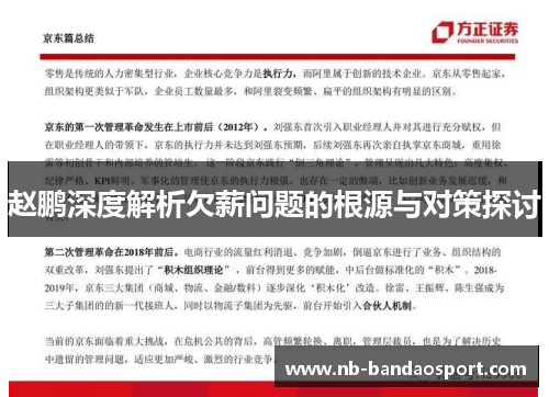 赵鹏深度解析欠薪问题的根源与对策探讨