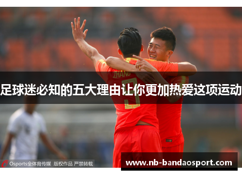 足球迷必知的五大理由让你更加热爱这项运动