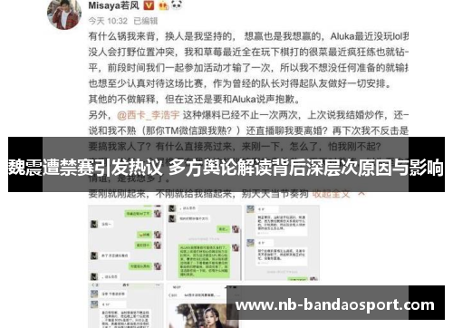 魏震遭禁赛引发热议 多方舆论解读背后深层次原因与影响