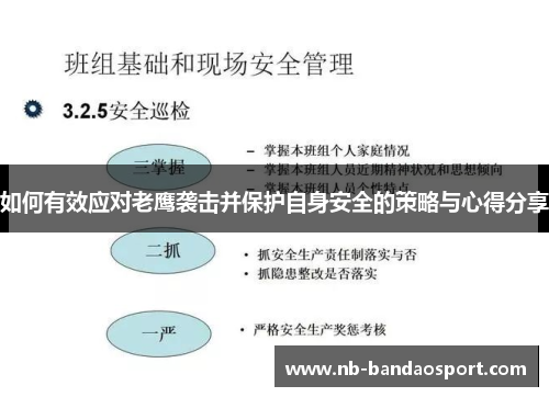 如何有效应对老鹰袭击并保护自身安全的策略与心得分享 如何有效应对老鹰袭击并保护自身安全的策略与心得分享